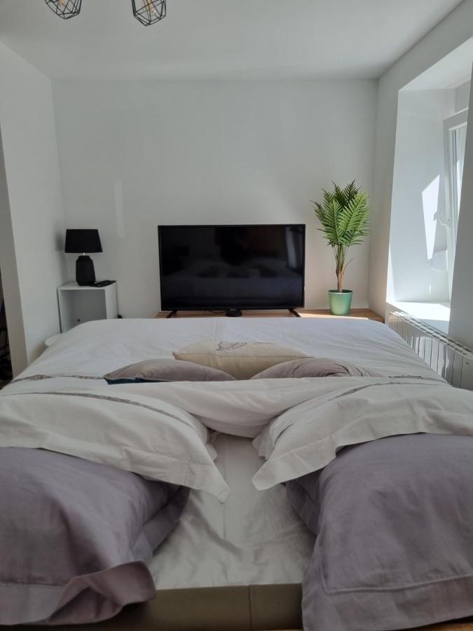 Residence Cosy Et Moderne Morvillars Екстер'єр фото